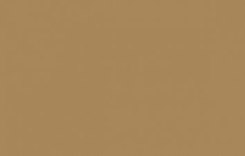 Oracal folia ploterowa seria 641 081 jasny brąz - szerokość 100 cm