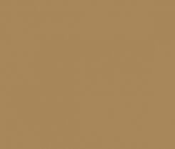Oracal folia ploterowa seria 641 081 jasny brąz - szerokość 100 cm