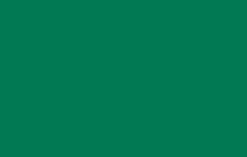 Oracal folia banerowa seria 451 061 Zielony  - szerokość 100 cm