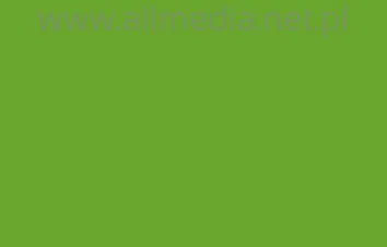 Oracal folia ploterowa seria 641 063 pastelowy zielony - szerokość 50 cm