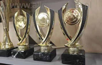 Statuetka złota 4382 19,5cm